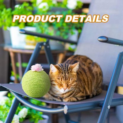 Interactive Tumbler Cactus Cat Scratcher Ball Catnip Toys Natural Sisal Scraper Tree Tower For Cat Indoor Play Hunting Exercise - Image 5