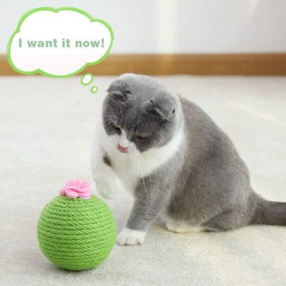 Interactive Tumbler Cactus Cat Scratcher Ball Catnip Toys Natural Sisal Scraper Tree Tower For Cat Indoor Play Hunting Exercise - Image 10